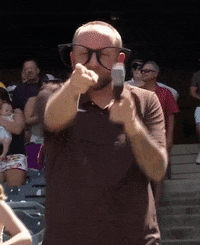 You Got It Yes GIF by Fort Wayne TinCaps