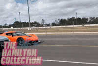 Car Brakes GIF by TheHamiltonCollection