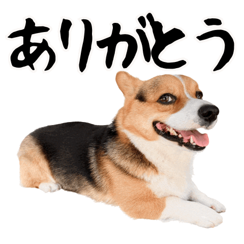 Thanks Corgi Sticker