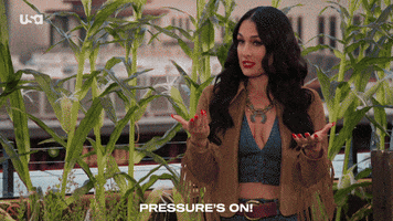 Competition Pressure GIF by USA Network