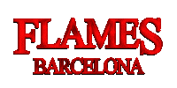 Stranger Things Sticker by Flames Barcelona