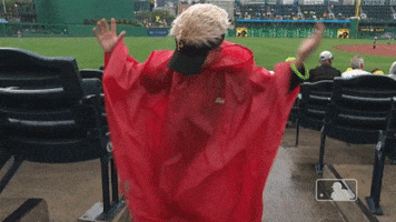 fan pirates GIF by MLB