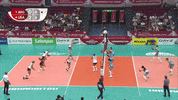 Argentina Yas GIF by Volleyball World