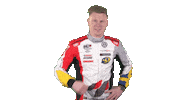 happy touring car Sticker by FIA WTCR