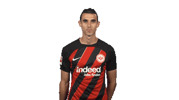 Eintracht Frankfurt Sticker by Bundesliga