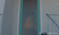 Tonga GIF by Madman Films