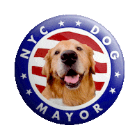 Dog Mayor Sticker