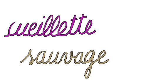 vanessadeabreu giphyupload plante lesgambettessauvages cueillette Sticker