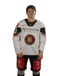 Easy Going Ice Hockey Sticker by deb_teams