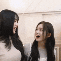 K Pop No GIF