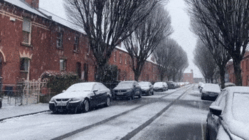 Springtime Snow Comes to Dublin