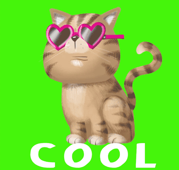 HannahtheSpanner giphyupload cat cool cool cat GIF