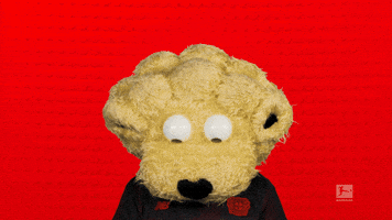 Look Up Bayer Leverkusen GIF by Bundesliga