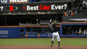 Celebrate Major League Baseball GIF by New York Mets