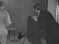 Sound And Vision Picture GIF by Beeld en Geluid