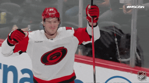 Happy National Hockey League GIF by NHL