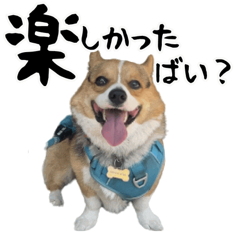 Corgi Milo Sticker