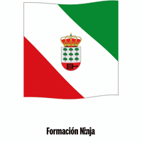 Castilla Y Leon Flag GIF by Formación Ninja