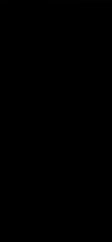 GIF by Professor Silvano Formentin