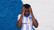 Bundesliga Berlin GIF by Hertha BSC