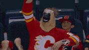 Horses Seo GIF by Kiwosan