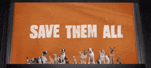 adopt best friends GIF by Best Friends Animal Society