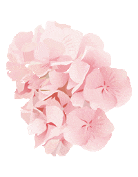 Flower Sticker by elan_cafe