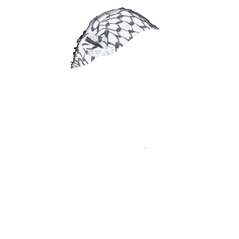 Shadow Palestine Sticker