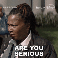 Are You Serious Right Now Season 2 GIF by HULU