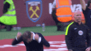 west ham GIF by West Ham United