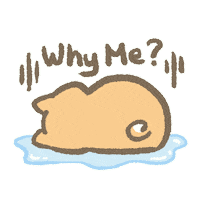 Sad Why Me Sticker
