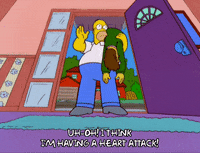 homer simpson what GIF