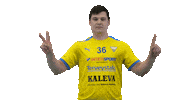 Floorball Salibandy Sticker by F-liiga