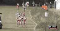 GIF by RunnerSpace.com