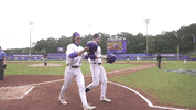 Baton Rouge Baseball GIF by LSU Tigers