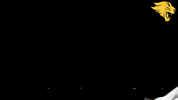 D3B GIF by CUCougars