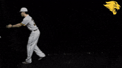 D3B GIF by CUCougars