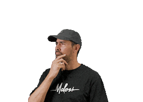 malosilures wow shock oh idea Sticker