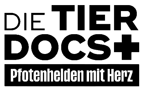 Dtd25 Sticker by JustFriends