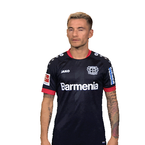 Bayer 04 Goodbye Sticker by Bundesliga