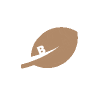 Bio Fcs Sticker by French Coffee Shop