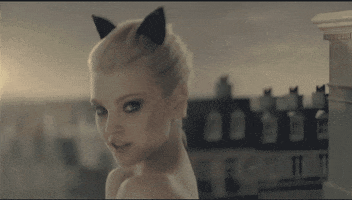 cat wink GIF