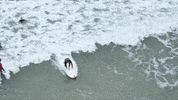 france car GIF by Red Bull Racing