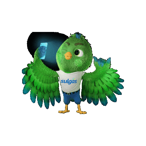 Gas Natural Rs Sticker by Sulgás