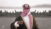 السعودية GIF