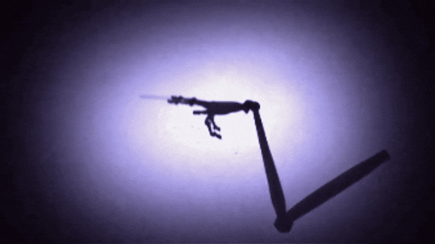 anetakozukarova giphygifmaker GIF