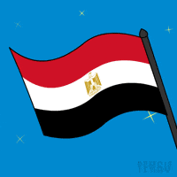 Penguin Flag GIF by Pudgy Penguins