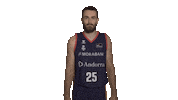 Vamos Liga Endesa Sticker by ACB