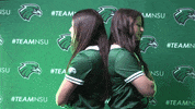 Softball GIF by RiverHawk Sports