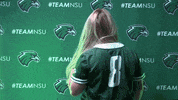 Softball GIF by RiverHawk Sports
